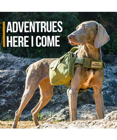 OneTigris Hoppy Camper 2.0 Dog Backpack | Tearproof Camping & Hiking Gear for M/L Size Dogs - Ranger Green - Buy Online on GoSupps.com