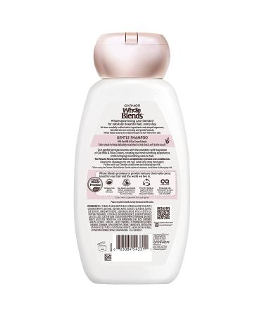 Garnier Whole Blends Oat Delicacy Gentle Shampoo - Nourishing & Soothing 12.5 fl oz (370 ml) - Buy Online on GoSupps.com