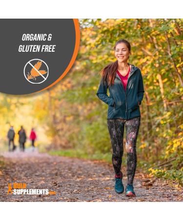 Organic Psyllium Husk Powder - Fiber Supplement for Baking | 500g (1.1 lbs) | Gluten Free & Organic | BulkSupplements.com - Buy Online on GoSupps.com