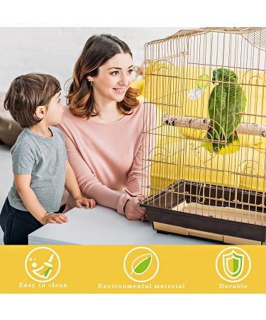 Bird Cage Food Holder Clips for Parrot, Budgie, Cockatoo - Set of 6 | Feeder Clip for Fruit, Vegetable, and Seed Treats - Ideal for Macaw, Cockatiel, Conure - Buy Online on GoSupps.com