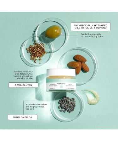 REN Clean Skincare Evercalm Overnight Recovery Balm - Nourishing Face and Body Moisturizer - Cruelty Free - 1.7 Fl Oz - Buy Online on GoSupps.com