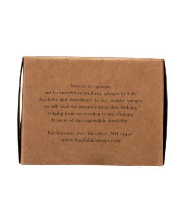 Wool Sponge Gift Box - 4.5 Inches | Eco-Friendly Gift for Any Occasion | International Shipping Available - Buy Online on GoSupps.com
