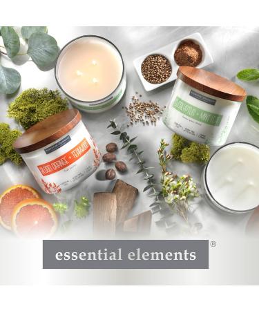 Essential Elements Blood Orange & Teakwood Scented Candle - 9 oz Aromatherapy Candle with 50 Hours Burn Time | International Shipping Available - Buy Online on GoSupps.com