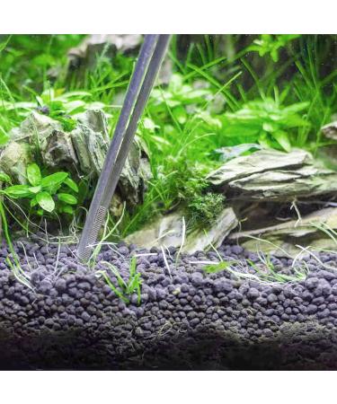 1PC Aquarium Tank Tweezers Reptile Feeding Tool tainless Steel Aquarium Straight Tweezers Tongs for Cleaning Dead and Excess Plants Positioning Ornaments and Feeding - Buy Online on GoSupps.com