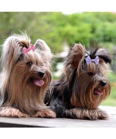 OTKARXUS Dog Hair Bows 48PCS Mixed Colors Dog Bows with Elastic Rubber Bands Puppy Hair Grooming Accessories Dog Hair Bands for Long Hair Puppy Kitten Dogs Cats - Buy Online on GoSupps.com