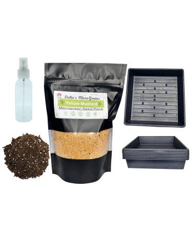 Yellow Mustard Microgreen Kit - Organic Mustard Sprout Seeds - Indoor Microgreens Growing Kit Includes Seed Packets Growing Trays Spray Bottle Soil and Comprehensive Guide (50 Grams)