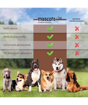 mascota vital - Horse ribs 200 g 100% horse gently dried suitable for nutrition-sensitive dogs (horse ribs) - Buy Online on GoSupps.com