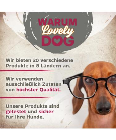 Natural Beef Jerky for Dogs (1kg) - Protein-Rich Premium Dog Snack | Dental Care Treats - Buy Online on GoSupps.com