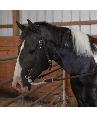 Majestic Ally Turquoise Nylon Padded Browband Headstall with Reins - Full Size - Buy Online on GoSupps.com