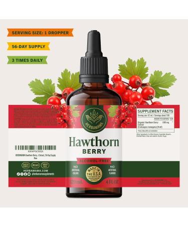 HERBAMAMA Hawthorn Berry Supplement Drops - Vegan Antioxidant & Overall Support with Hawthorn Tincture - Non-GMO Alcohol & Sugar-Free Liquid Fruit Extract 56-Day Supply 4 Fl Oz (Pack of 1) - Buy Online on GoSupps.com