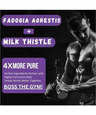 Fadogia Agrestis 2000mg Extract Supplements - 90 Vegan Tablets for Athletic Performance & Muscle - Gluten Free Non-GMO - High Strength Formula (Pack of 1) - Buy Online on GoSupps.com