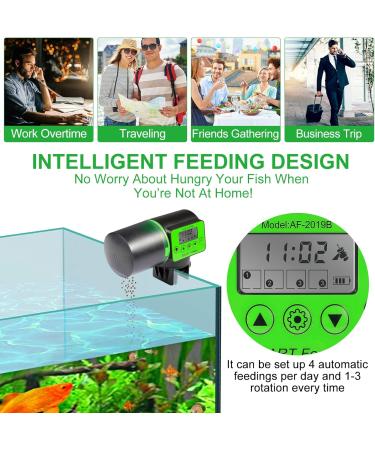 Castaroud Automatic Fish Feeder Fish Food Dispenser Auto Timer Aquarium Tank Turtle Feeder Smart Programmable Digital LCD Large Capacity Auto Fish Feeder for Fish Turtle - Buy Online on GoSupps.com
