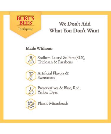 Burt's Bees Kids Fluoride Toothpaste Fusion Fruit 4.2oz (Pack of 4) - Buy Online on GoSupps.com
