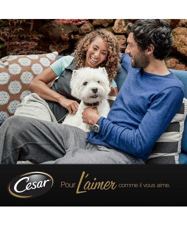 CESAR Dog Meals - 24 Trays (Pack of 3 Packs 8x150g) - Dog Food in Sauce - Beef / Chicken / Lamb / Turkey - Complete & Balanced Food with Natural Ingredients - Buy Online on GoSupps.com