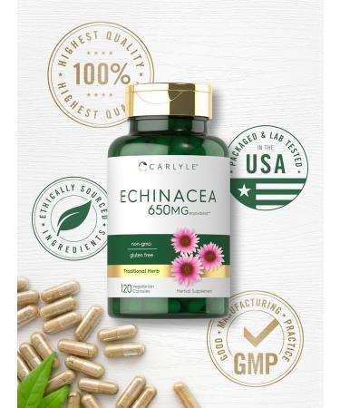 Carlyle Echinacea | 120 Capsules | Vegetarian Non-GMO & Gluten Free Supplement - Buy Online on GoSupps.com