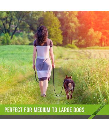 DDSCOLOUR Heavy Duty Dog Leash 5-6ft Long with Double Traffic Handle Reflective Perfect for Medium large dog leash strong Double Handle Lead Greater Control Safety Training (Black+Green) 5 feet Black+green - Buy Online on GoSupps.com