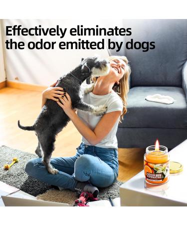 Orange & Vanilla Odor Eliminating Candles - Highly Scented Premium Soy Candles for Home Pet Smoke & Food Smell Removal - Buy Online on GoSupps.com