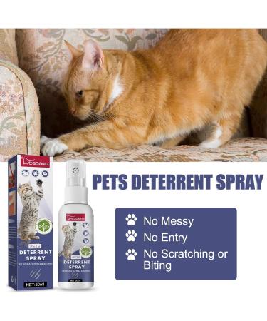 Routinfly Cat Spray - Bitter Training Aid for Scratch-Resistant Furniture Protection | 50 ml | Halloween Ornaments - International Shipping Available - Buy Online on GoSupps.com