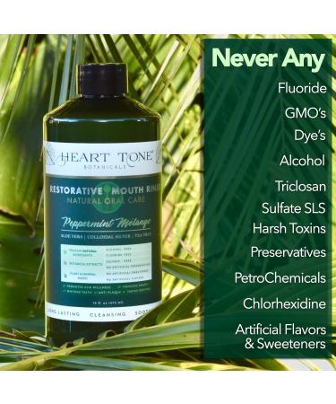 Nano Silver Mouthwash | All Natural Adult Restorative Rinse | Aloe Vera & Tea Tree | Complete Oral Care | Fluoride GMO & Alcohol Free - Buy Online on GoSupps.com