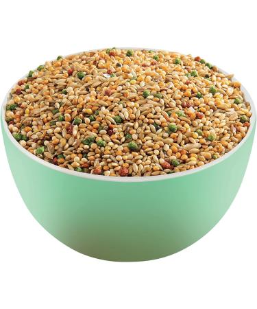 Versele Laga Premium Seed Budgies 800 g - Buy Online on GoSupps.com