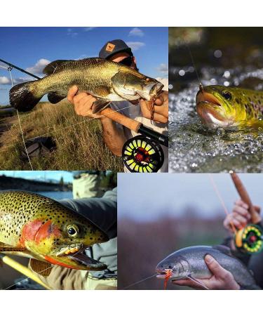 Maximcatch 10-Piece Fly Fishing Set with Fly Box | Best Seller Wet & Dry Flies Nymphs Streamers Shop Now! - Buy Online on GoSupps.com