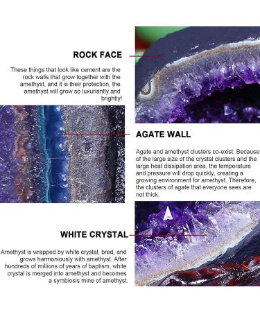 Natural Amethyst Crystal Cluster Rock Crystal Cluster Amethyst Gemstone Specimen Raw Druzy Geode Stone Figurine for Reiki Home Decoration 1kg Gift (Size : 1.7kg) - Buy Online on GoSupps.com