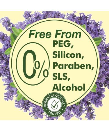 Dalan Therapy French Lavender Ultra Moisturizing Liquid Hand Soap for Normal and Dry Hands Fresh Clean and Soft Feeling (13.5 Fl Oz / 400 mL (Pack of 3)) - Buy Online on GoSupps.com