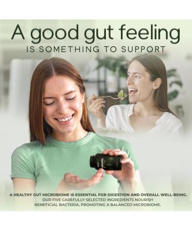 Prebiotic Fiber Supplement 5-in-1 Capsules - Natural Flow 5X Fiber XOS, GOS, FOS, Acacia and Agave Inulin, Daily Soluble Fiber Formula for Gut Support and Boost Good Bacteria Diversity, 120 Caps - Buy Online on GoSupps.com