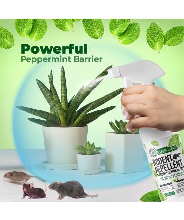 Mighty Mint 8oz Peppermint Oil Rodent Repellent Spray (2-Pack) - Buy Online on GoSupps.com