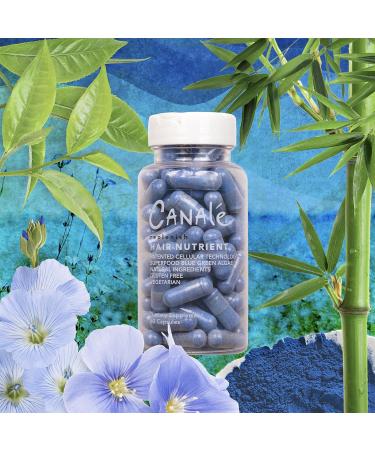 REPLENISH Hair Nutrient Revitalize & Strengthen Your Hair | International Shipping Available - Buy Online on GoSupps.com