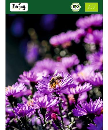 Biojoy Organic Flower Pollen 500g - Pure Additive-Free Dried Pollen for Health Benefits - Buy Online on GoSupps.com