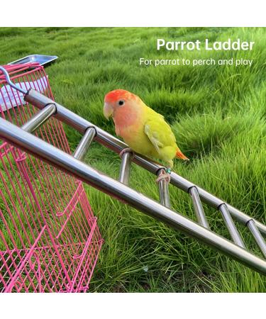 Gekmor 2 Pack Parrot Ladders - 9 Steps Stainless Steel Rustproof Non-Slip Perfect Bird Cage Accessories for Nymphensittich Cacadu & Love Birds - Buy Online on GoSupps.com