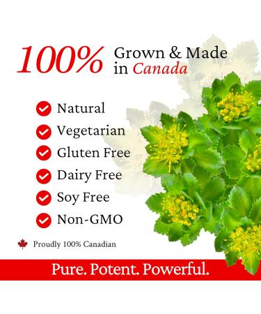 Rhoziva Rhodiola Rosea Supplement. Supports Mental Energy Focus & Memory. Gluten Free Non-Gmo. 120 Capsules. 100mg (Pack Of 1) - Buy Online on GoSupps.com