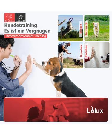 LIOLUX Professional Dog Whistles - 2 Pack with Clicker & Lanyard | Loud & Clear Training Tool for Dogs - R tter Refraction DG Gr n/Schwarz - Buy Online on GoSupps.com