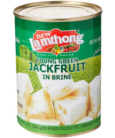 New Lamthong Young Green Jackfruit in Brine 565 g 565 g (Pack of 1) - Buy Online on GoSupps.com