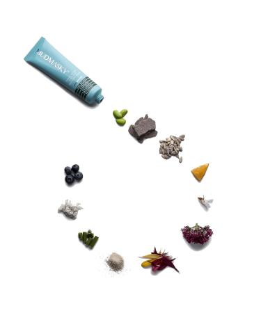 MUDMASKY Facial Detox Mud Mask 60ml - Reduces Pores & Acne Fast | 200 000+ Reviews - Buy Online on GoSupps.com