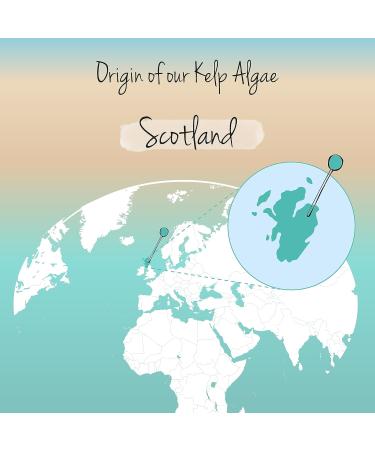 Vegavero Organic Iodine Supplement - 100% Natural Scottish Sea Kelp - 150mcg Pure Iodine - 180 Vegan Tablets - Buy Online on GoSupps.com