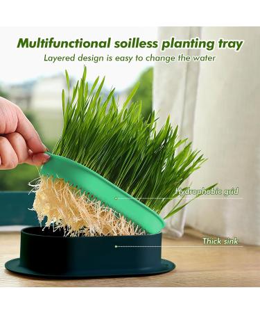 Hejo 2 PCS Cat Grass Seed Tray Plant Bowls for Cat Grass Catnip Cat Grass Box with 1 Plastic Scissors Plastic Soil Free Cat Plant Planting Box for Planting Cat Grass - Buy Online on GoSupps.com
