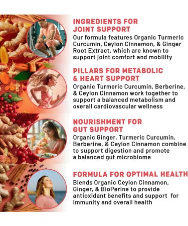 5-in-1 Organic Turmeric Curcumin Supplement (4210mg) with Berberine, Ceylon Cinnamon Bioperine and Ginger Supplements for Joint, Heart, Gut, & Metabolic Support (120 ct) Regular 120 Count (Pack of 1) - Buy Online on GoSupps.com