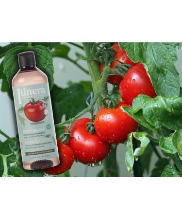  sarcia.eu ITINERA - Regenerating body wash with tomato from Sorrento 95% natural ingredients 370 ml 4 pcs - Buy Online on GoSupps.com