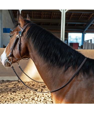 Buy Organic Closed Reins for Horses & Ponies | 2-3m Long | Supergrip Biothane | Durable Water-Repellent | Available in 4 Colors | International Shipping - Buy Online on GoSupps.com