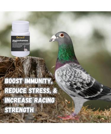 Multivitamin Powder for Pigeons Ultimate Vitamin Formula for Racing & Breeding Supports Growth Bone Strength Reproductive Health & Feather Health - Promotes Peak Performance & Well-Being 50g - Buy Online on GoSupps.com