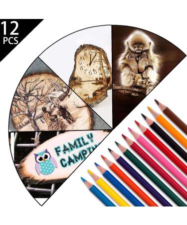 96pcs Professional Wood Burning Kit - Adjustable Temperature Wood Burner Pen Tool Set for Embossing/Carving - Ideal for Beginners and Adults - Buy Online on GoSupps.com