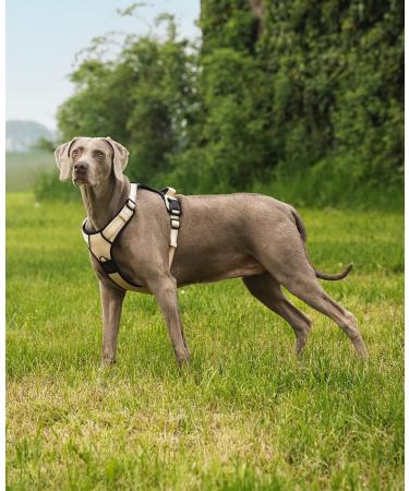 Buy Lionto XL Beige Dog Harness - Padded Anti-Pull & Reflective Safety Adjustable for Comfort | International Shipping Available - Buy Online on GoSupps.com