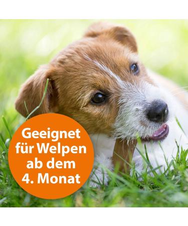 ARDAP Tick & Flea Protection Collar for Dogs 10-25kg | 4-Month Natural Defense | Sustainable 60cm Collar - Buy Online on GoSupps.com