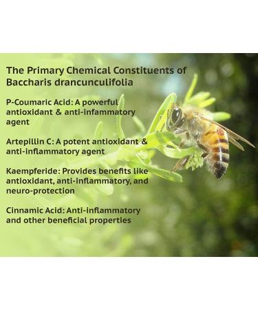 Buy Dr. Ohhira's Propolis Plus - 60 Natural Capsules for Immune Support - Buy Online on GoSupps.com