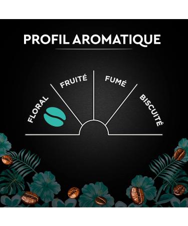  Carte Noire Carte Noire Organic Peruvian Selection Organic Ground Coffee Pure Arabica Roast 12 Packs of 250g - Buy Online on GoSupps.com