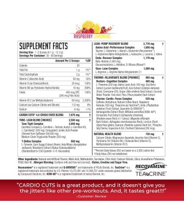 NDS Nutrition 4.0 Pre Workout Supplement - Advanced Weight Loss & Cardio Formula with L-Carnitine CLA MCTs & L-Glutamine - Razz Lemonade (40 Servings) - International Shipping Available - Buy Online on GoSupps.com