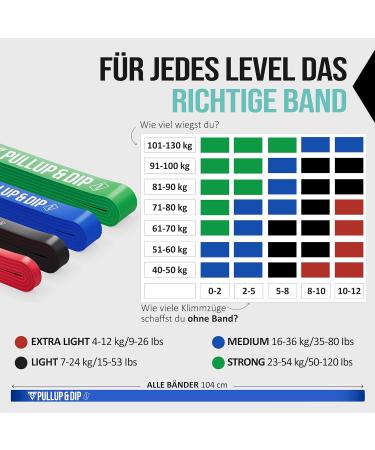 Buy Pull-Up & DIP Fitness Straps Resistance Tapes with Bag | Door Anchor & Exercise Guide | Medium Calisthenics Band (Blue) - Affordable Sets for Home Workouts - Buy Online on GoSupps.com