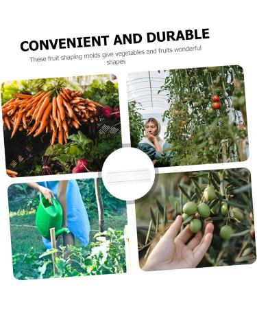 Toddmomy Vessel Tools 4 Pcs Square Cucumber Molds Vegetables One Cucumber Plant DIY Star Tool Growth Molds Container Gourd - Buy Online on GoSupps.com
